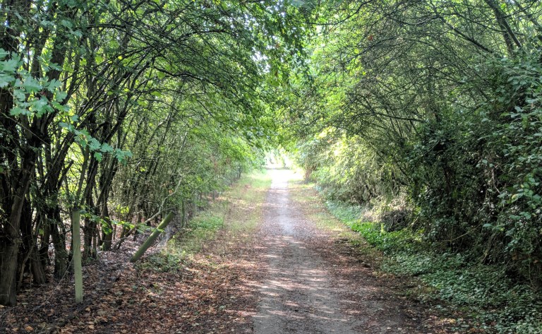 img_20180829_1025261