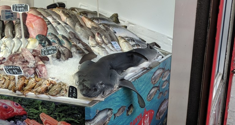 mvimg_20180810_185028