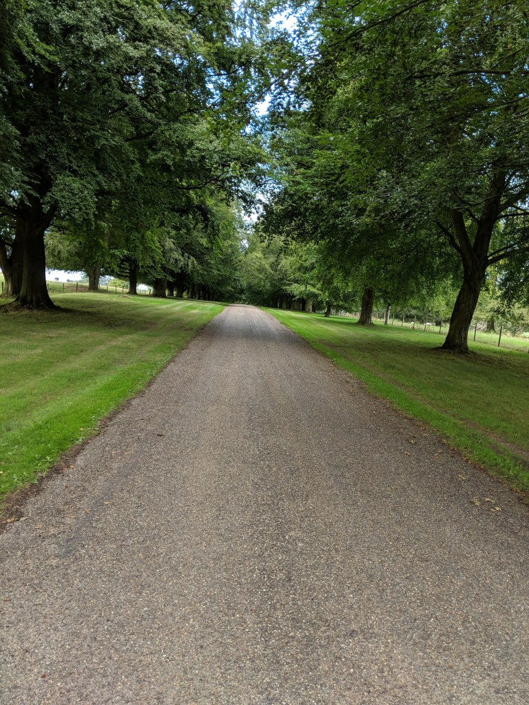 mvimg_20180830_152641