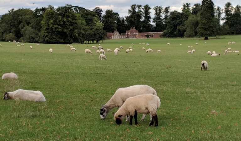 mvimg_20180830_152951