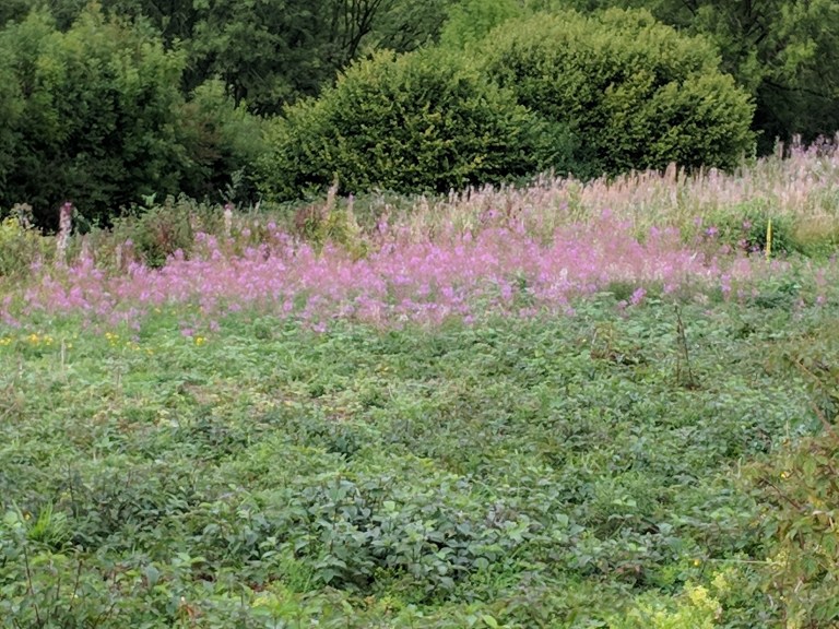 mvimg_20180830_164049