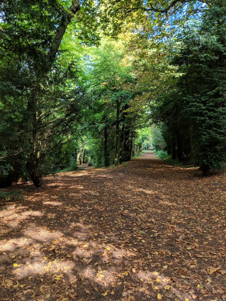 mvimg_20180831_112814